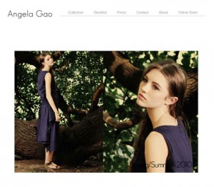 angg_screenshot_02 Client Site: Home page